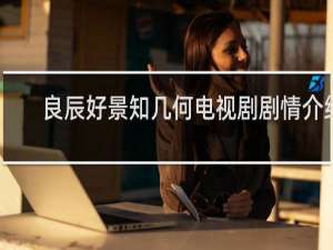 良辰好景知几何电视剧剧情介绍