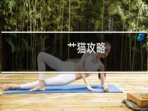 艹猫攻略