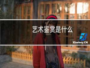 艺术鉴赏是什么