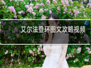 艾尔法登环图文攻略视频