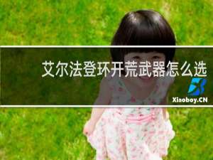 艾尔法登环开荒武器怎么选