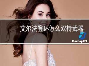 艾尔法登环怎么双持武器
