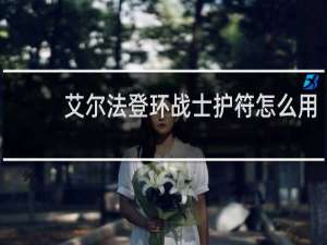 艾尔法登环战士护符怎么用