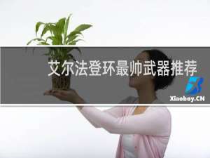 艾尔法登环最帅武器推荐