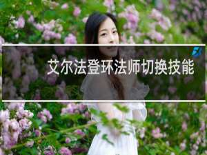 艾尔法登环法师切换技能