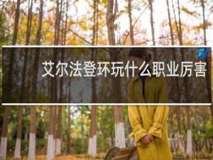 艾尔法登环玩什么职业厉害