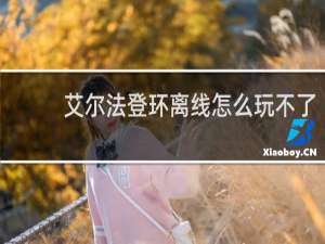 艾尔法登环离线怎么玩不了