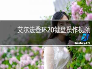 艾尔法登环 键盘操作视频