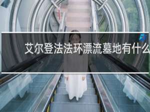 艾尔登法法环漂流墓地有什么