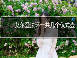 艾尔登法环一共几个仪式壶