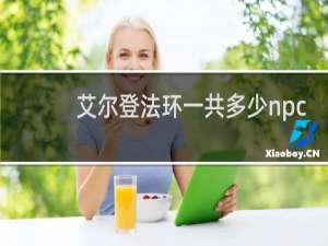 艾尔登法环一共多少npc