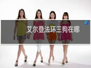 艾尔登法环三狗在哪
