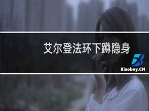 艾尔登法环下蹲隐身