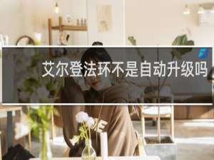 艾尔登法环不是自动升级吗