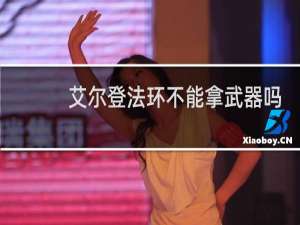 艾尔登法环不能拿武器吗