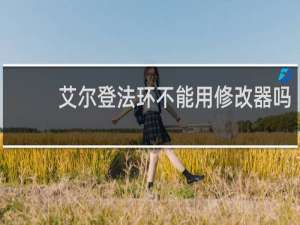艾尔登法环不能用修改器吗
