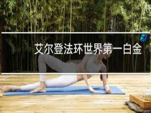 艾尔登法环世界第一白金