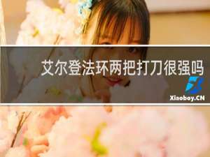 艾尔登法环两把打刀很强吗