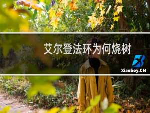 艾尔登法环为何烧树