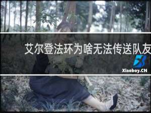艾尔登法环为啥无法传送队友