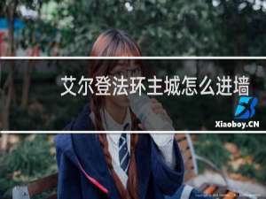 艾尔登法环主城怎么进墙