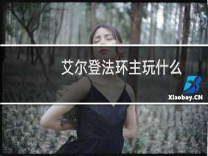 艾尔登法环主玩什么