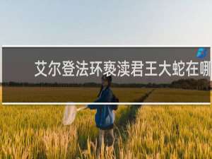 艾尔登法环亵渎君王大蛇在哪