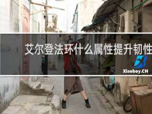 艾尔登法环什么属性提升韧性