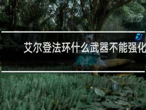 艾尔登法环什么武器不能强化