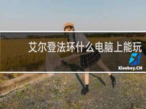 艾尔登法环什么电脑上能玩