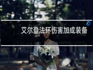 艾尔登法环伤害加成装备