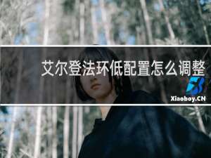 艾尔登法环低配置怎么调整