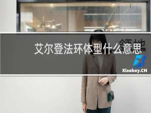艾尔登法环体型什么意思