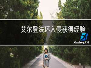 艾尔登法环入侵获得经验