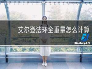 艾尔登法环全重量怎么计算