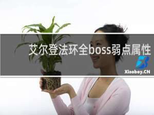 艾尔登法环全boss弱点属性