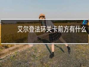 艾尔登法环关卡前方有什么