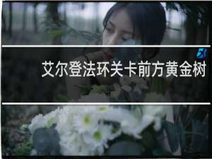 艾尔登法环关卡前方黄金树