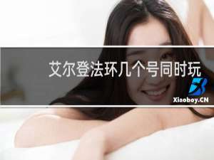 艾尔登法环几个号同时玩