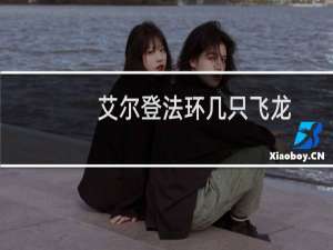 艾尔登法环几只飞龙