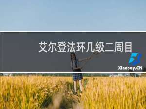 艾尔登法环几级二周目