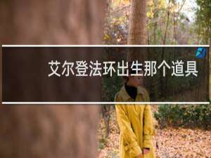 艾尔登法环出生那个道具