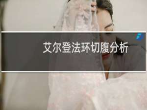 艾尔登法环切腹分析