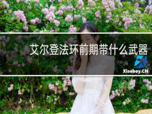 艾尔登法环前期带什么武器