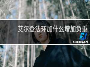 艾尔登法环加什么增加负重