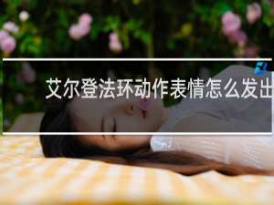 艾尔登法环动作表情怎么发出
