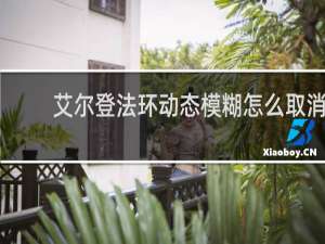 艾尔登法环动态模糊怎么取消
