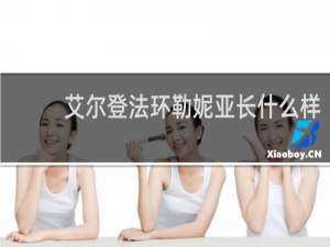 艾尔登法环勒妮亚长什么样