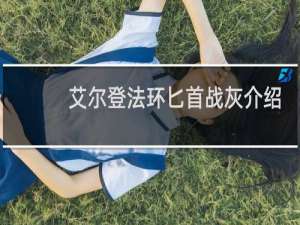 艾尔登法环匕首战灰介绍