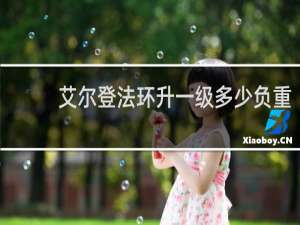 艾尔登法环升一级多少负重